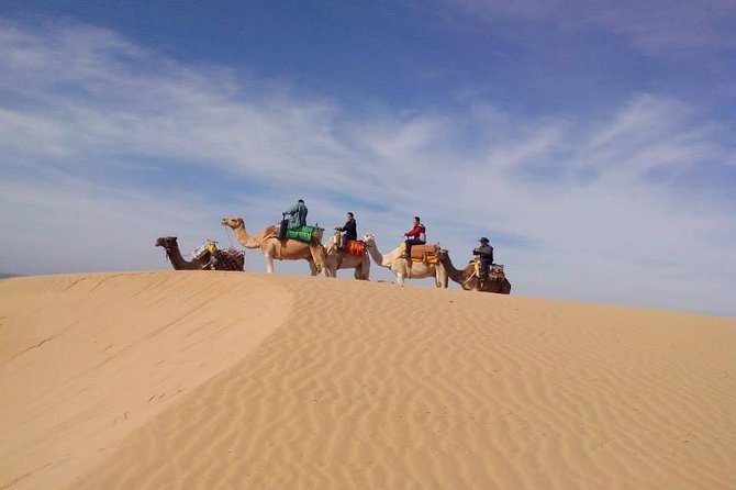 3 Hours Camel Ride in Essaouira With Dinner and Overnight in Berber Camp - Desert Camp and Lodging
