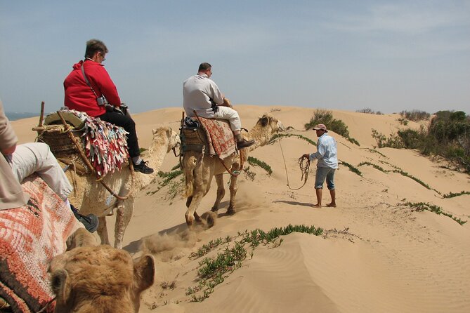 3 Hours Camel Ride in Essaouira With Dinner and Overnight in Berber Camp - Participant Requirements and Limitations