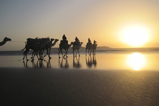 3 Hours Camel Ride in Essaouira With Dinner and Overnight in Berber Camp - Transportation and Accessibility