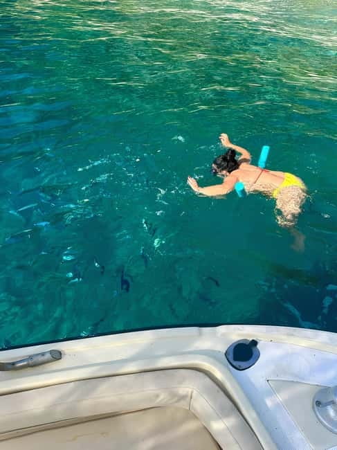 3 hours Costa Viola Boat tour: Scilla-Bagnara-Cala Janculla - FAQs