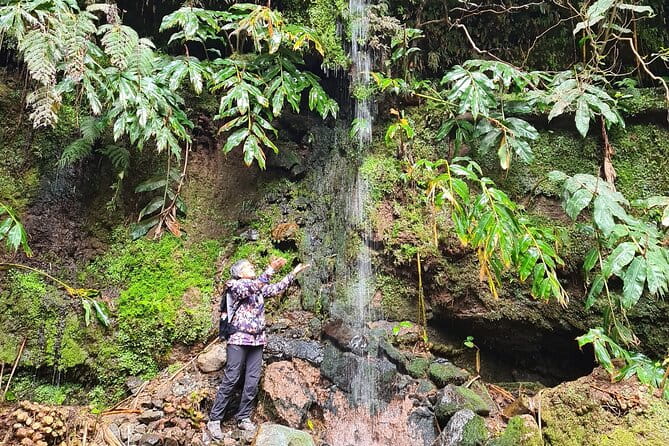 3 Hours Guided Forest Bathing Hike in Portugal - Exploring São Miguel’s Forest Bathing Hike: A Balance of Calm and Connection
