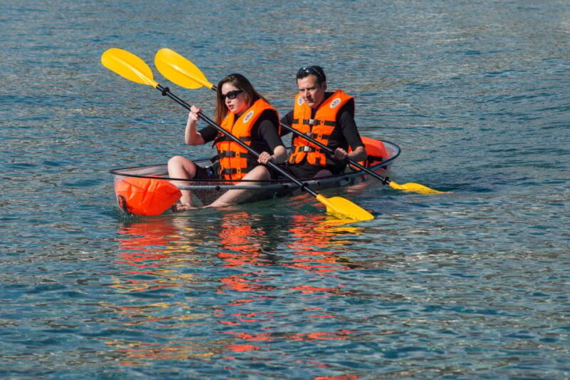 3 Hours Guided Tours in Transparent Kayaks - Final Thoughts: Is This Your Kind of Adventure?