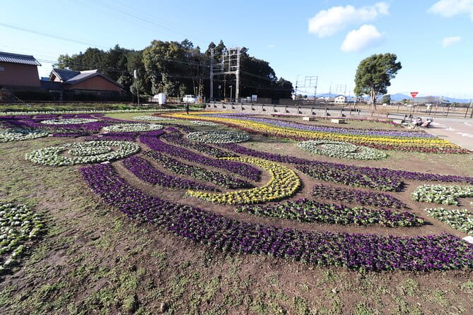 3 Hours Historical Tour of Princess Saio on an Electric Cart - Meeting and End Points