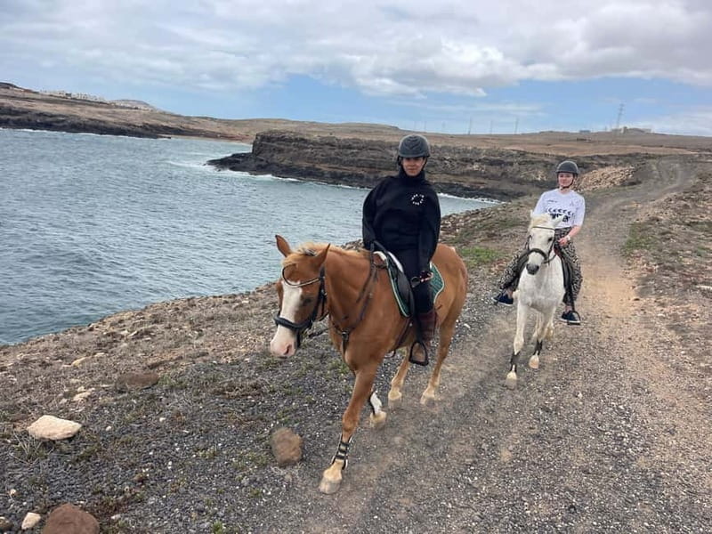 3 hours Horse Riding Tour to the Coast - The Climbing and Trotting: A Thrilling Ride