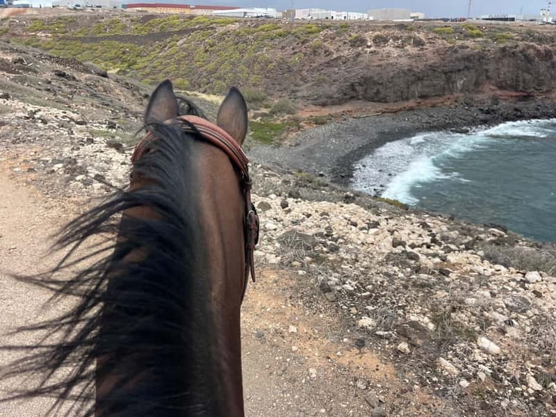3 hours Horse Riding Tour to the Coast - The Final Stretch: The Breathtaking Coastline