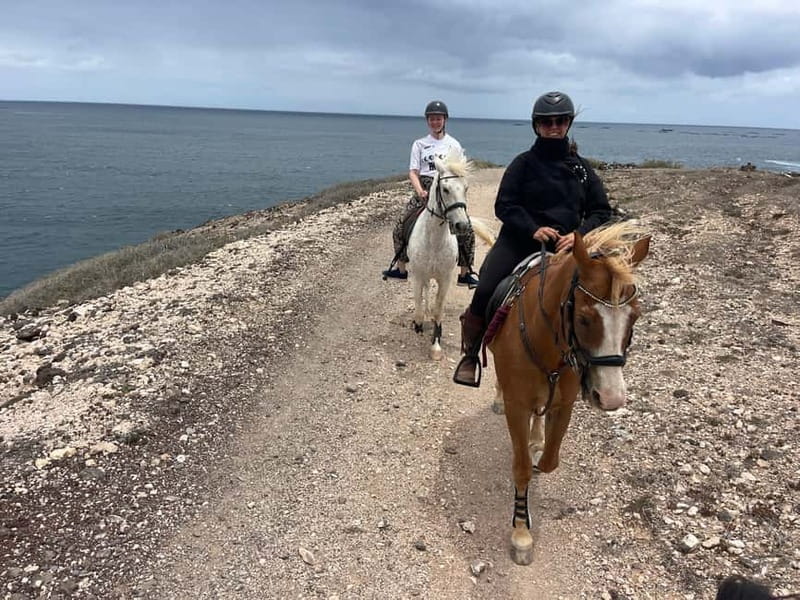 3 hours Horse Riding Tour to the Coast - Who Should Consider This Tour?