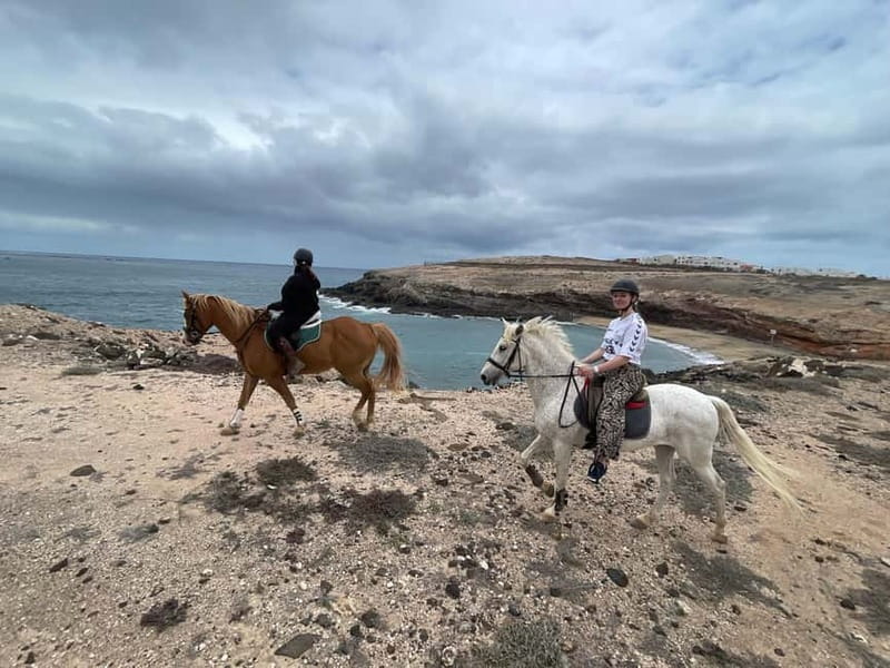 3 hours Horse Riding Tour to the Coast - Final Thoughts: Is It Worth It?
