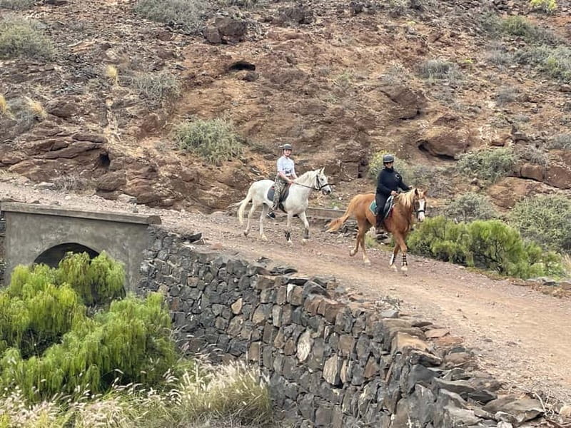 3 hours Horse Riding Tour to the Coast - FAQ