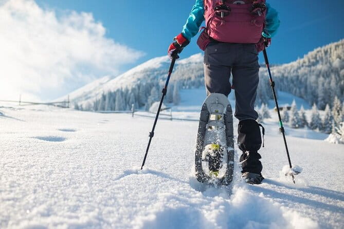 3 Hours of Snowshoeing with Alpine Guide in Val Brembana - Who Would Love This Experience