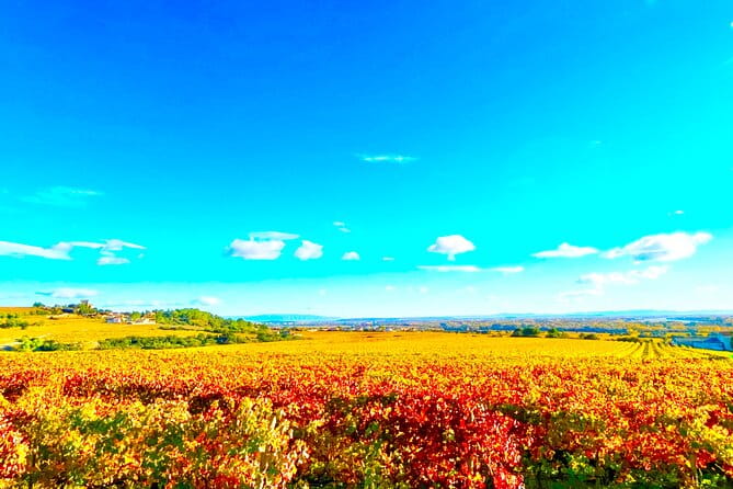 3 hours of Tour in the Wines of Châteauneuf-du-Pape - The Sum Up: Is This Tour Worth Your Time?