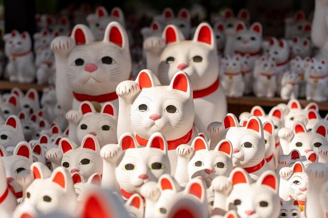 3 Hours Photography and Food Tour in Setagaya - Meeting and End Points