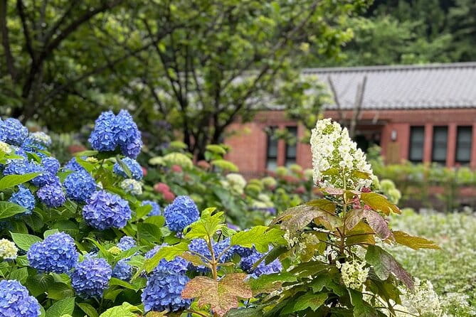 3 Hours Private Historical Walking Tour of Miura Peninsula - Schedule