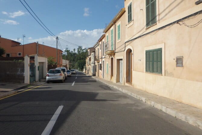 3 hours quad tour from Paguera - The Experience on the Ground: What You Can Expect