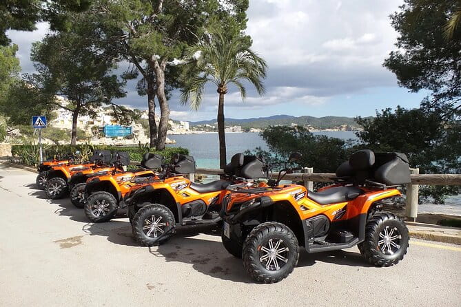 3 hours quad tour from Paguera - Practical Tips for Booking and Participating