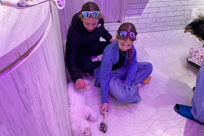 3 Hours Tokyo Tour With Personal Photographer - Booking Information