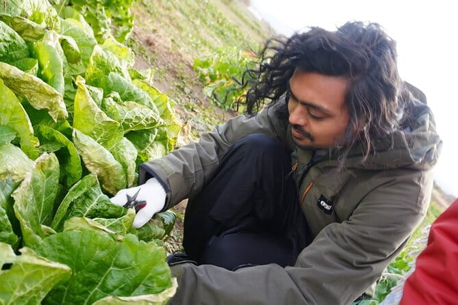 3 Hours Vegetables Harvest Activity Nearby Tokyo - Meeting and Pickup Information