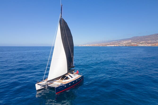 3 hrs. Whale Watching and Relaxing Chill Out Catamaran with glass floor - Introduction
