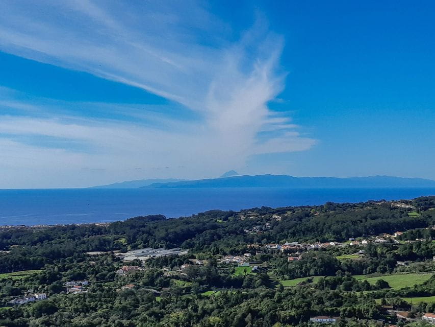 3 in 1 Tour From the Mountain to Cave With Wine - Wine Tasting at Biscoitos Winery