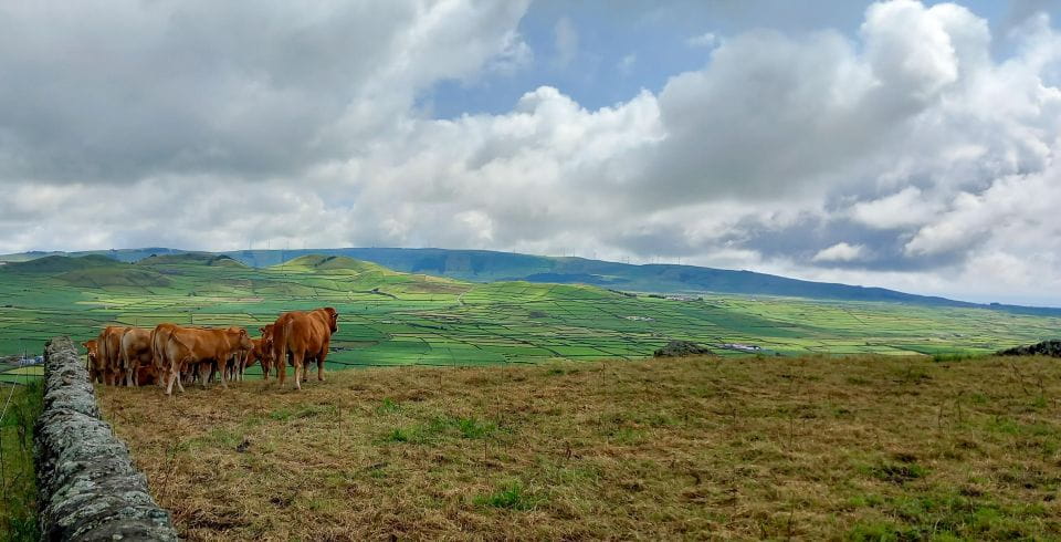 3 in 1 Tour From the Mountain to Cave With Wine - Recap