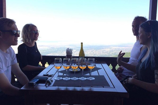 3 Organic Wineries Private Day Trip to Wine Province With Lunch and Tastings - Personalized Experience