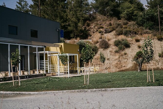 30-Minute Guided Honey Tasting Activity in Melini - What to Expect: From Video Learning to Honey Tasting