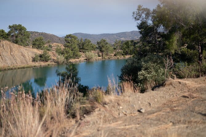 30-Minute Guided Honey Tasting Activity in Melini - Who Will Enjoy This Experience Most?