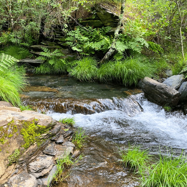 30 minutes from Porto: Waterfalls, Hiking and Picnic - Price and Value: Is It Worth It?