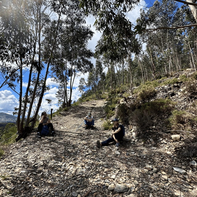 30 minutes from Porto: Waterfalls, Hiking and Picnic - Final Thoughts: Is This Tour Right for You?