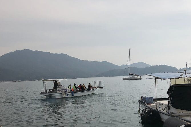30 Minutes One Way Cruise From Miyahama Onsen to Miyajima - Access and Transportation