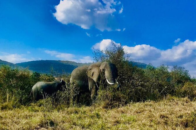 3days/2nights Group Joining Masai Mara - Meal Plan