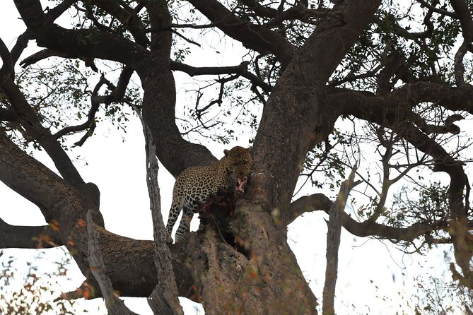 3days/2nights Group Joining Masai Mara - Park Entrance Fees