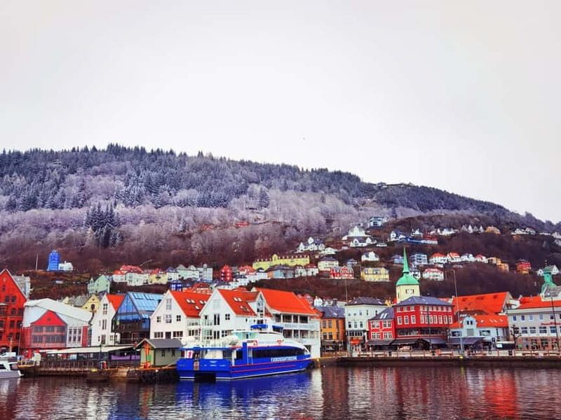 3days Bergen-Hardanger-Flåm-næroyfjord-Oslo(or Preikstolen) - An Authentic Norwegian Adventure: Exploring Bergen, the Fjords, and Preikestolen