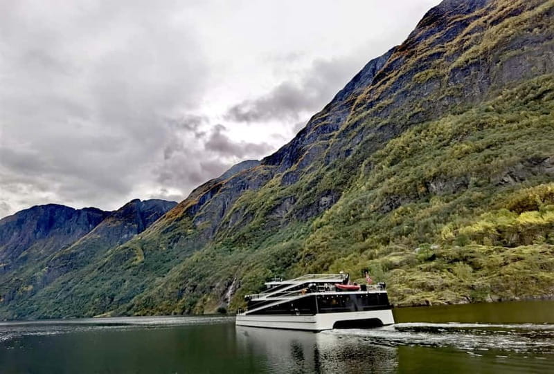 3days Bergen-Hardanger-Flåm-næroyfjord-Oslo(or Preikstolen) - Who Should Book This Tour?