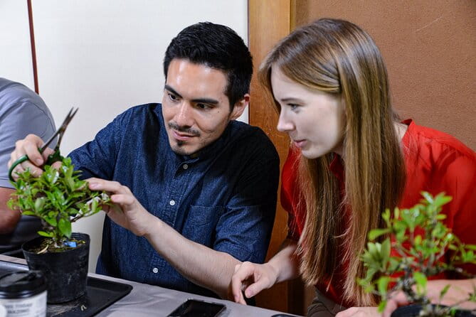 3Days-Bonsai & Sencha Tea Experience: Pastime of the Literati - Accommodation and Meals