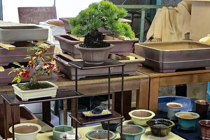 3Days-Bonsai & Sencha Tea Experience: Pastime of the Literati - Cancellation and Confirmation