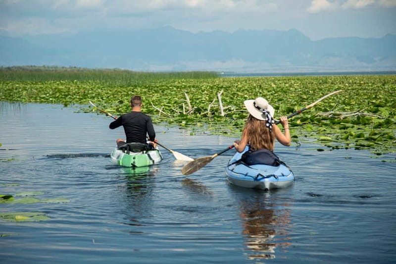 3h Guided Kayaking Adventure on Skadar Lake to hidden spots! - Frequently Asked Questions