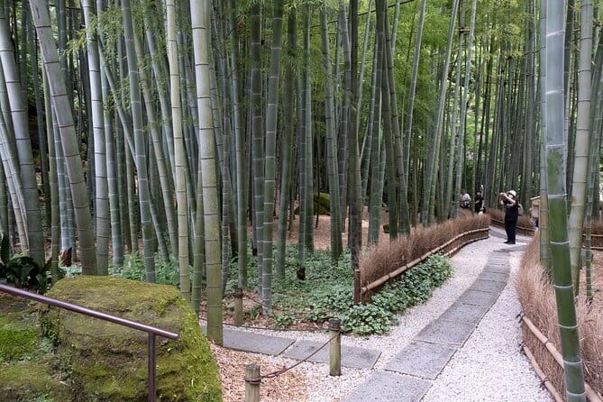 3h Private Tour With a Local Photographer - Itinerary Highlights