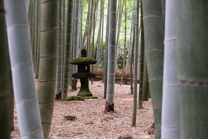 3h Private Tour With a Local Photographer - Customer Reviews and Feedback