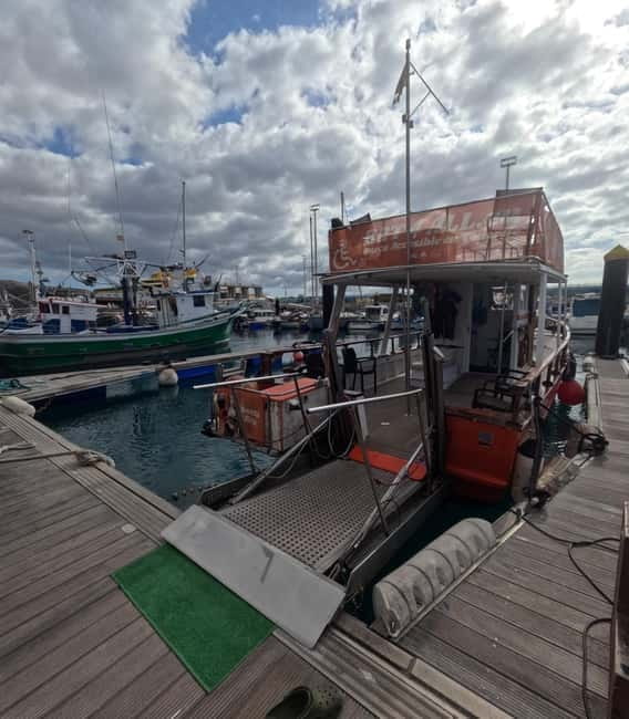 3H Shared Barrier-Free Cruise with Turtles Dolphins & Whales - Key points / Takeaways