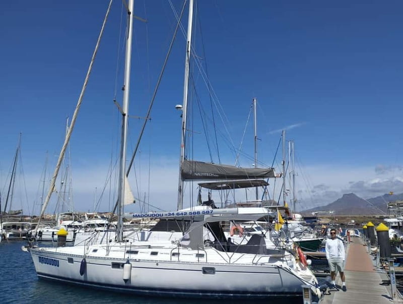 3h Whale Watching Private tour Beneteau Oceanis 440 - Price and Logistics: Making It Worthwhile
