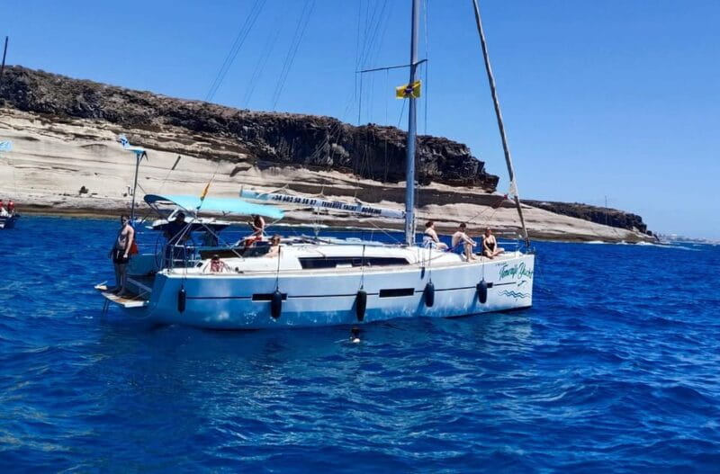 3h Whale Watching Private Tour Costa Adeje Lina7 Mizendoha - Price and Logistics: Value for Money?