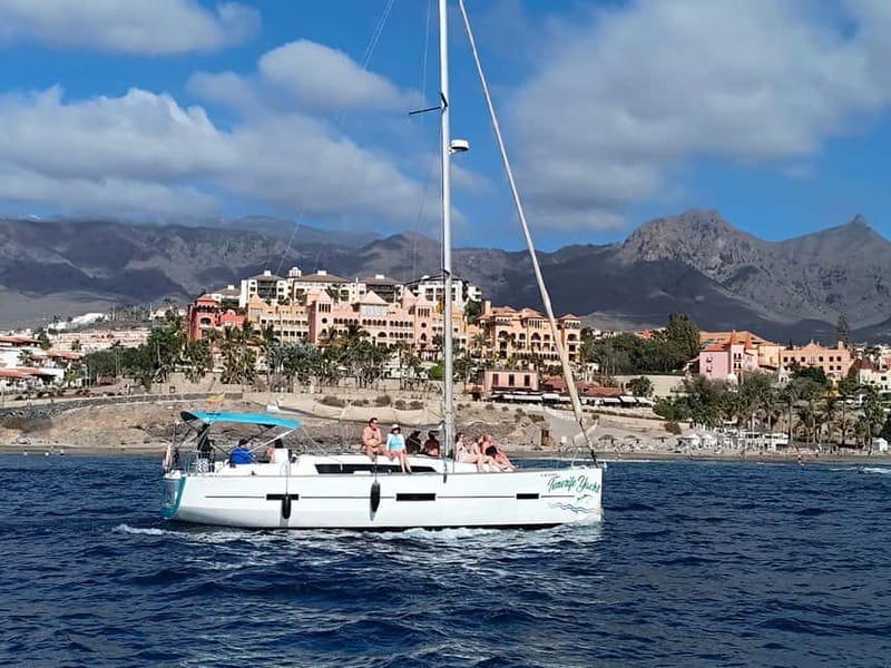 3h Whale Watching Private Tour Costa Adeje Lina7 Mizendoha - Summary: Who Will Love This Tour?