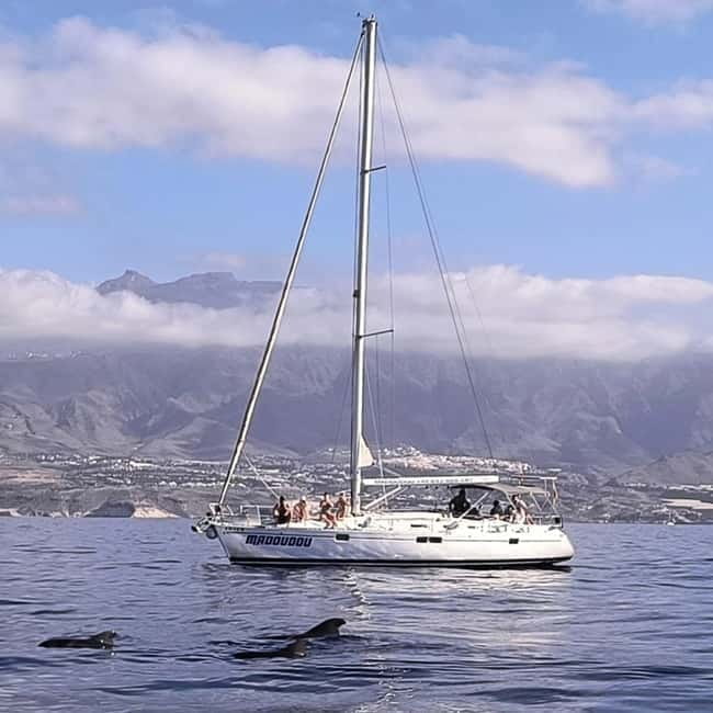3h Whale Watching Share Tour Beneteau Oceanis 440 - Key points / Takeaways
