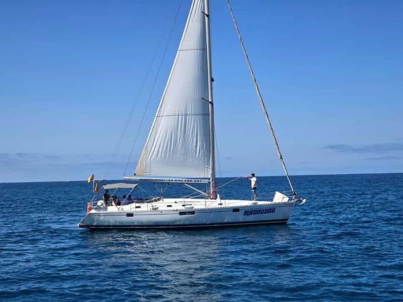 3h Whale Watching Share Tour Beneteau Oceanis 440 - Practical Tips for Your Trip