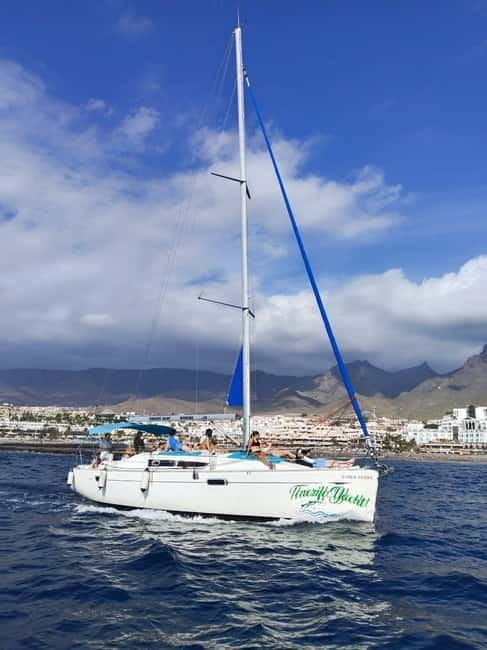 3h Whale watching Share Tour Costa Adeje Lina7 Mizendoha - Frequently Asked Questions