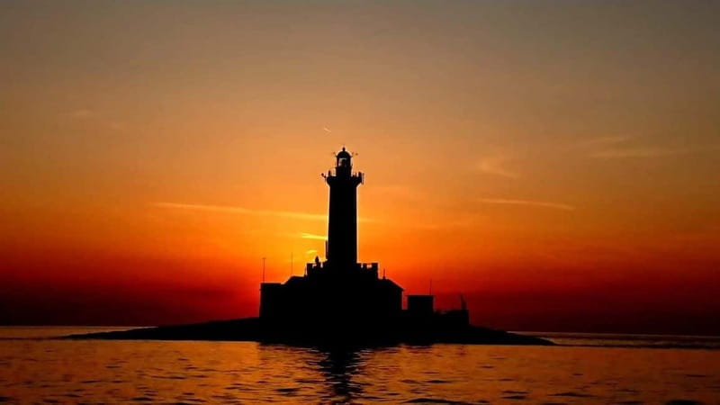 3hours Dolphin Sunset watching with unlimited drinks +dinner - FAQ