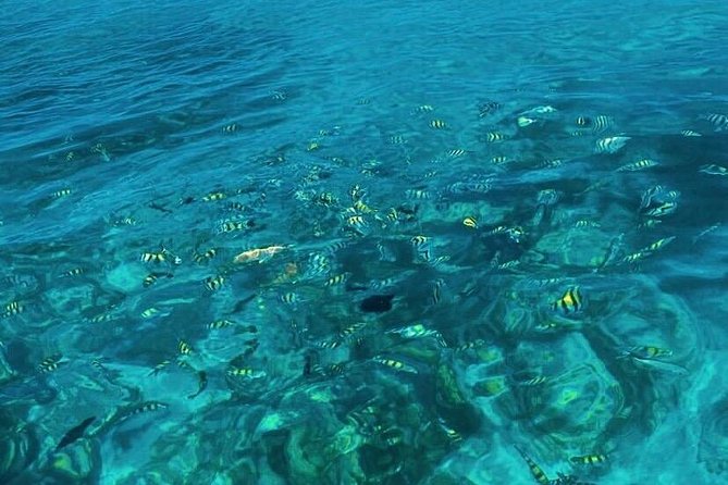 3HR Full Island Life Jetski Tour - Grand Cayman Experience