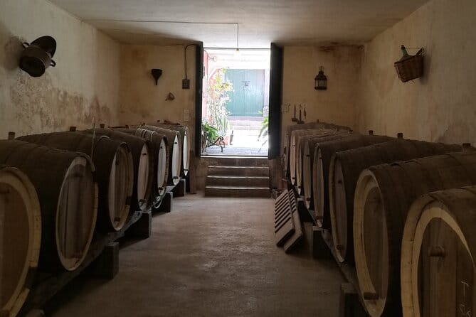 4.5 hours Private tour, the best and highlights of Gran Canaria. - Final thoughts