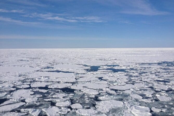 4.5 Hours Snowshoe Hike in Shiretoko Five Lakes - Meeting and Pickup Details