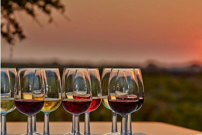 4.5 Hours Through the Grapevine Private Wine Tour - Key Points / Takeaways